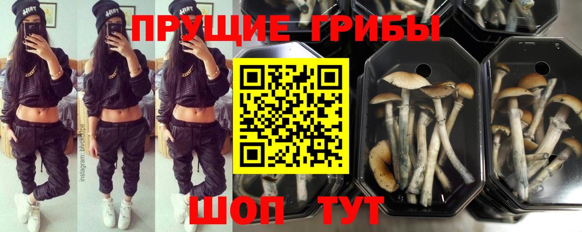 Псилоцибиновые грибы ЛСД  Галлюциногенные грибы ЛСД  Орёл  Вход с VPN 
